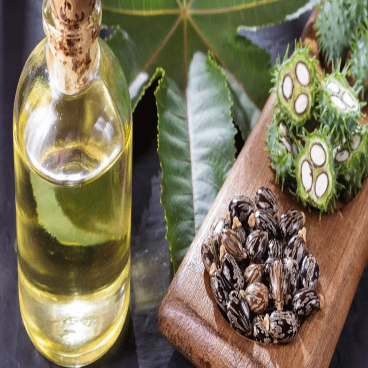 Castor Oil-রেড়ির তেল