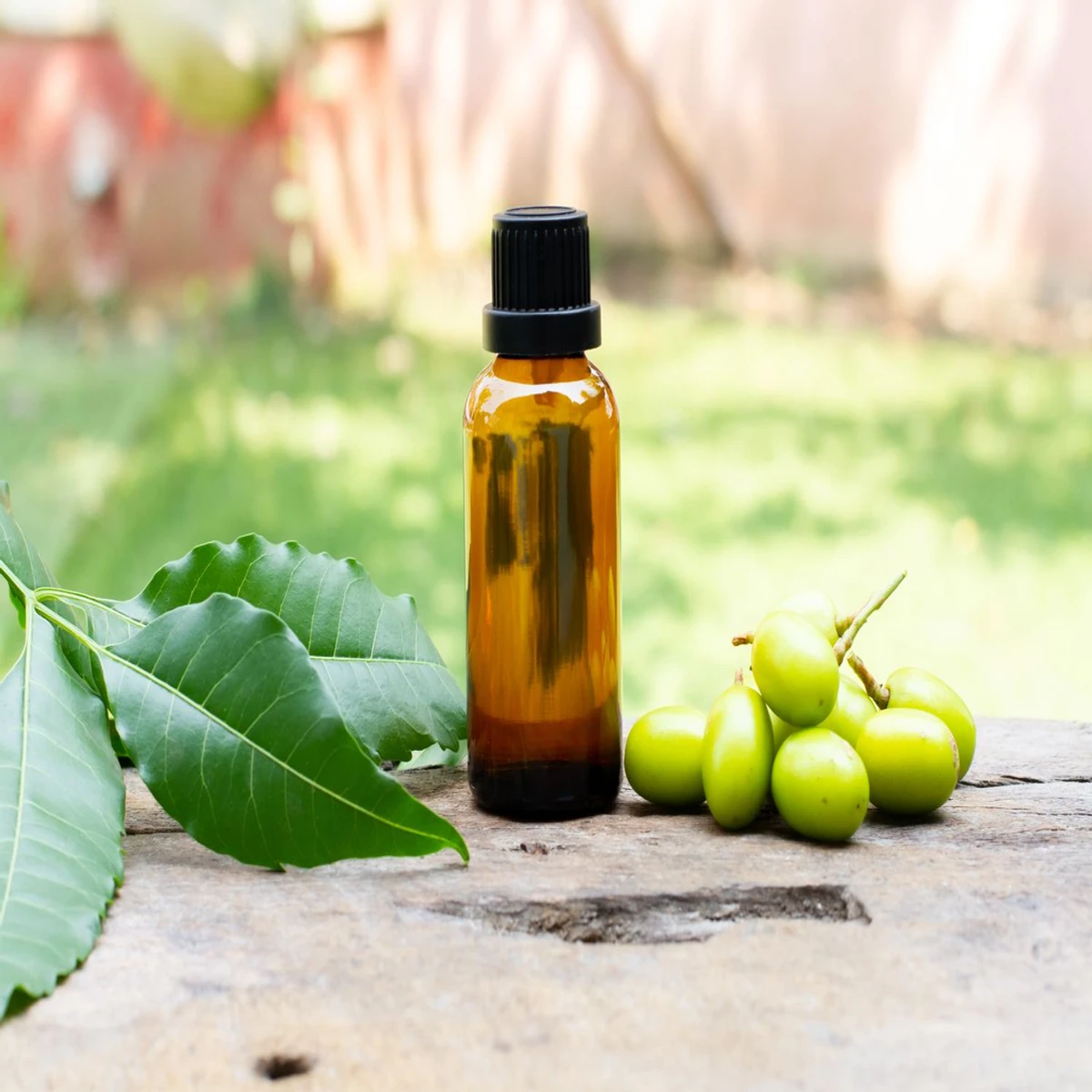 Neem Oil-নিমের তেল